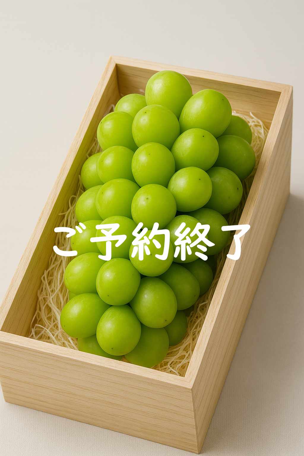 [ご予約終了]シーザーシャイン2025